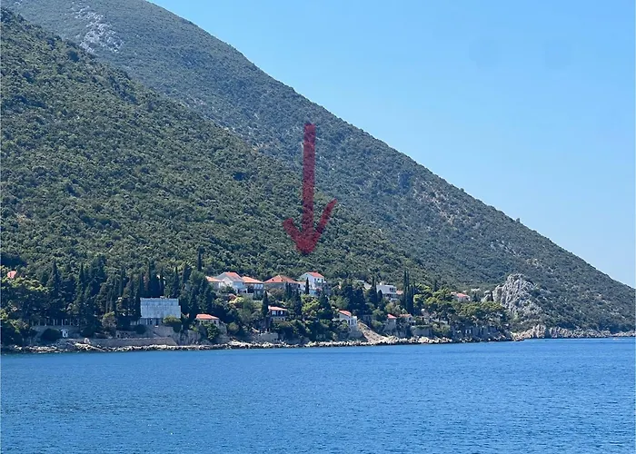 Studio Mira